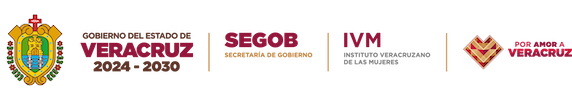 Logo IVM